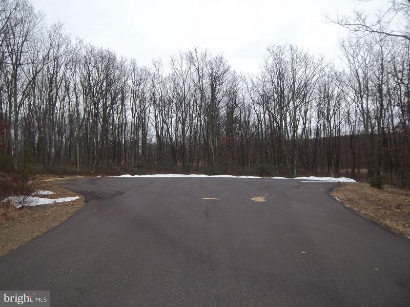 Build your Dream House on this Cul-de-sac lot in gated Eagle - photo 3