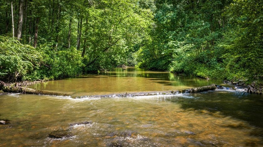 FIGHTINGTOWN CREEK + MCCLURE CREEK FRONTAGE. Opportunities like - photo 48