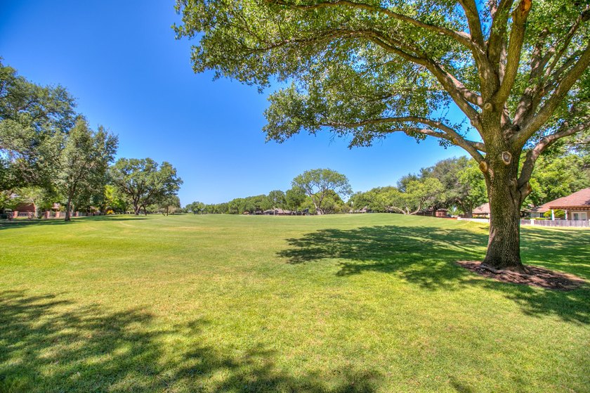 Check out this 4 bed 3.5 bath luxury home in the Heart of - photo 48