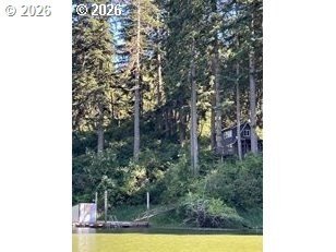 Gorgeous private lake retreat located 4 minute boat ride from - photo 5