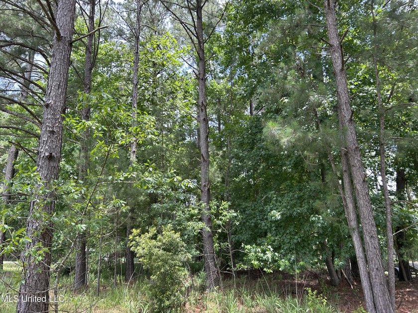 Escape to the serenity of nature with this 0.38-acre lot in the - photo 4