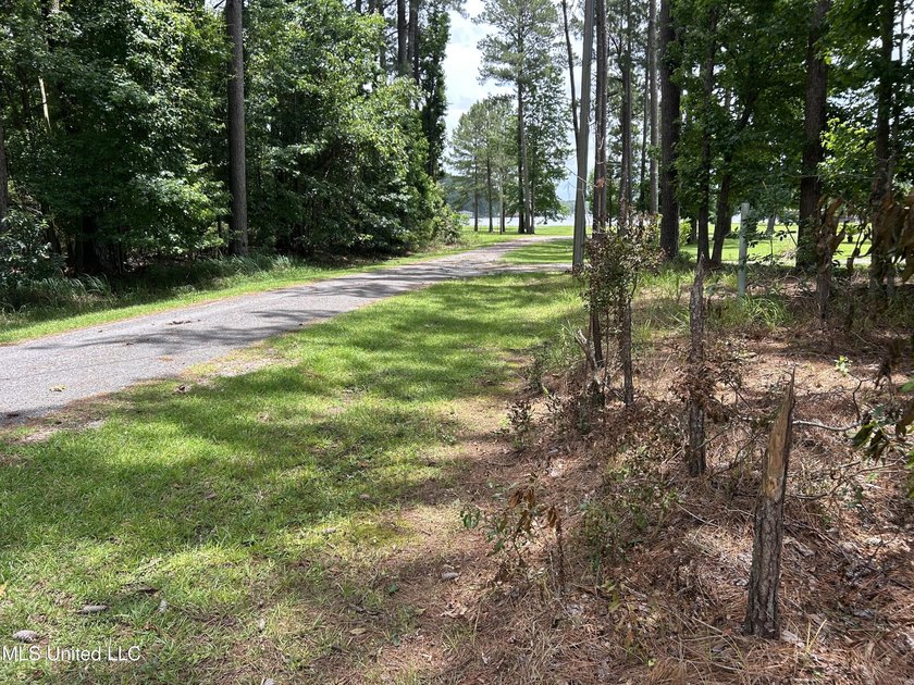Escape to the serenity of nature with this 0.38-acre lot in the - photo 5