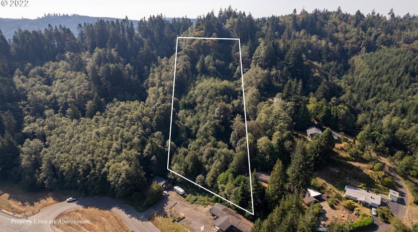 3.37 +/- ACRES OF RURAL OREGON PARADISE! Use this as the Canvas - photo 4