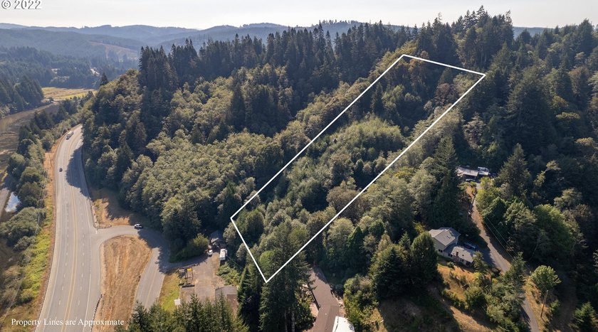 3.37 +/- ACRES OF RURAL OREGON PARADISE! Use this as the Canvas - photo 6