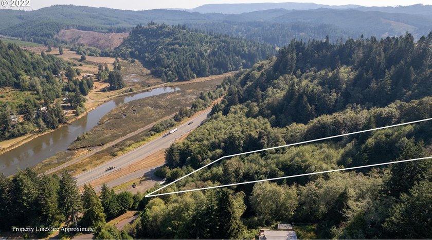 3.37 +/- ACRES OF RURAL OREGON PARADISE! Use this as the Canvas - photo 8