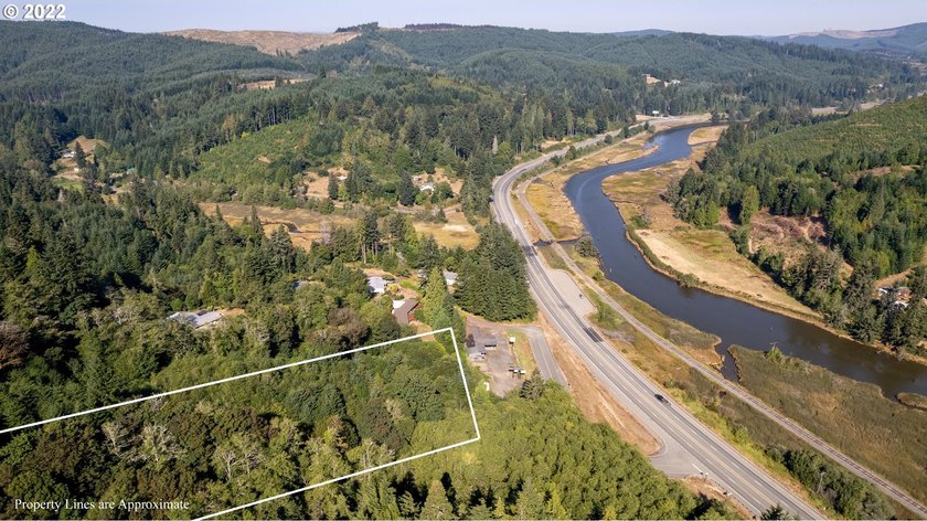 3.37 +/- ACRES OF RURAL OREGON PARADISE! Use this as the Canvas - photo 10
