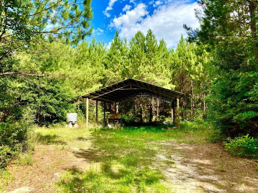 This diverse riverfront property is a rare find. Located between - photo 9