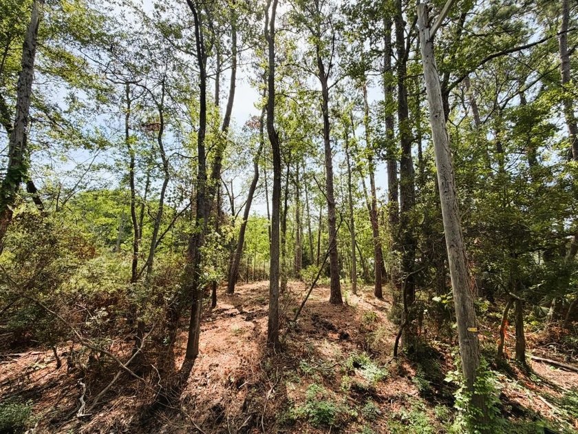 This offering features three lots combined into one property - photo 3
