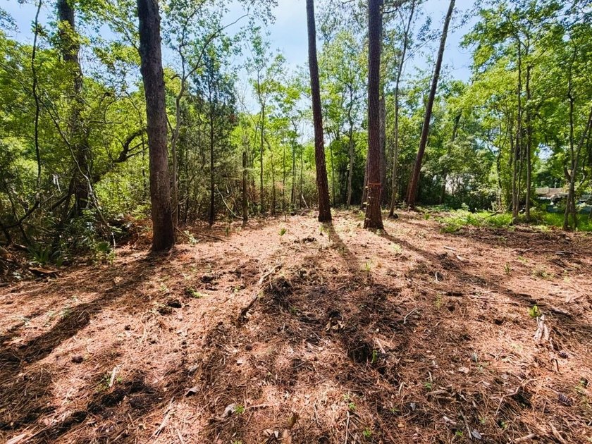 This offering features three lots combined into one property - photo 8