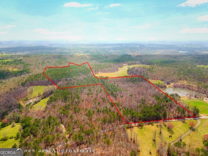 Build your dream home and have a wonderful hunting spot all in - photo 2