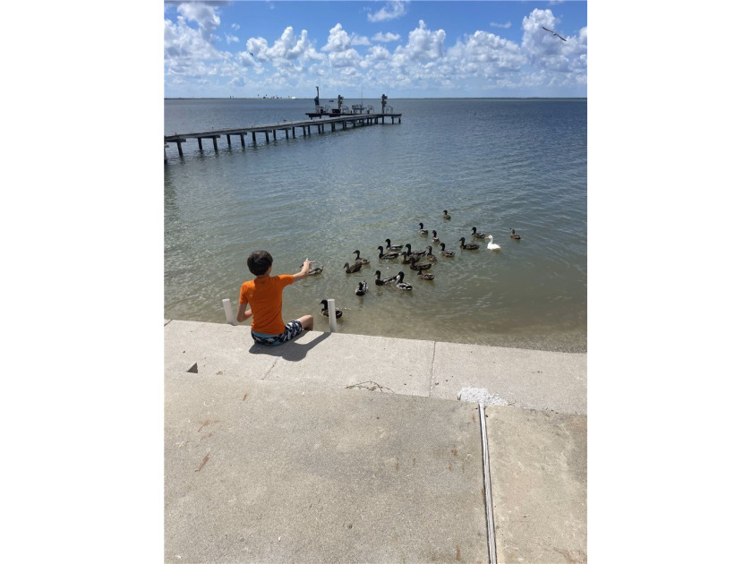 PREMIER BAYFRONT LOT - *PRICE IMPROVEMENT* - Wake up to endless - photo 23