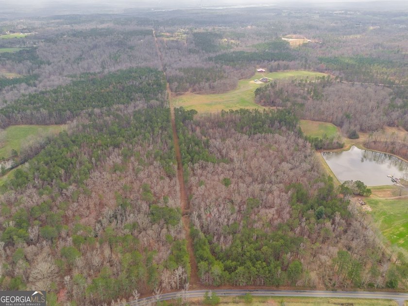 Build your dream home and have a wonderful hunting spot all in - photo 6