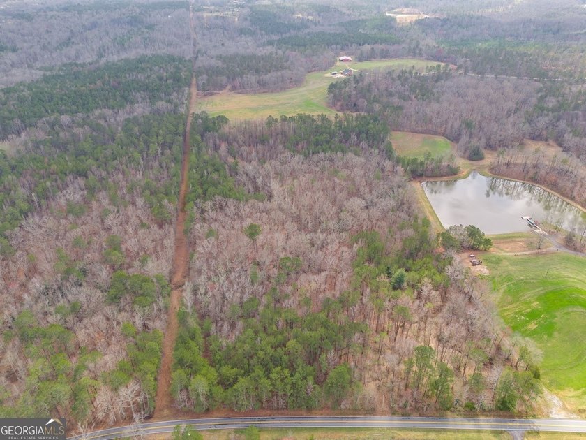 Build your dream home and have a wonderful hunting spot all in - photo 7
