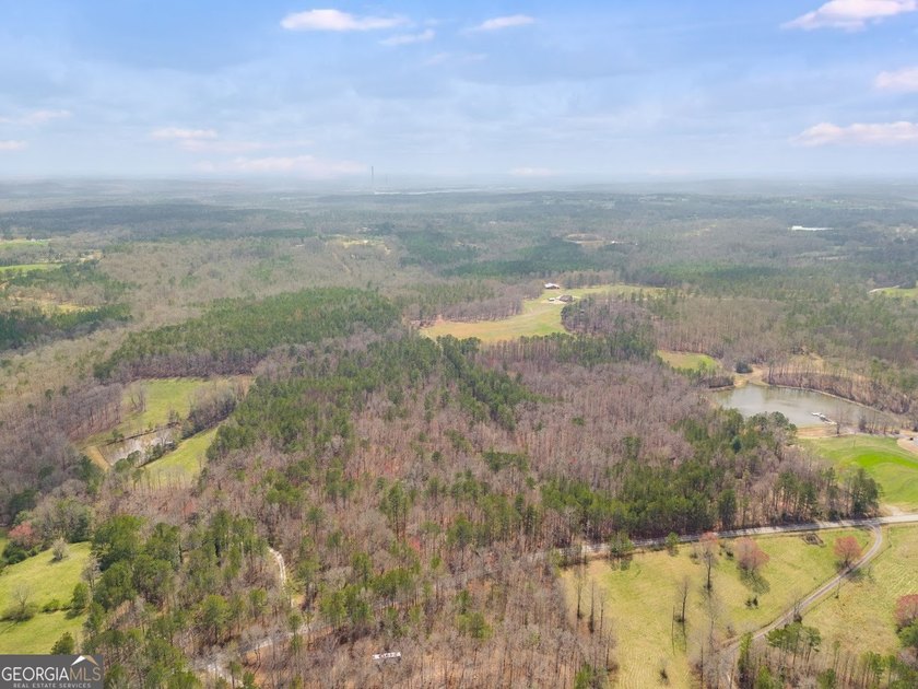 Build your dream home and have a wonderful hunting spot all in - photo 8
