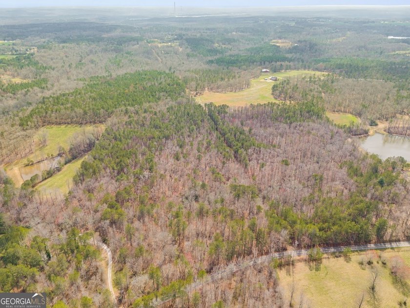 Build your dream home and have a wonderful hunting spot all in - photo 9