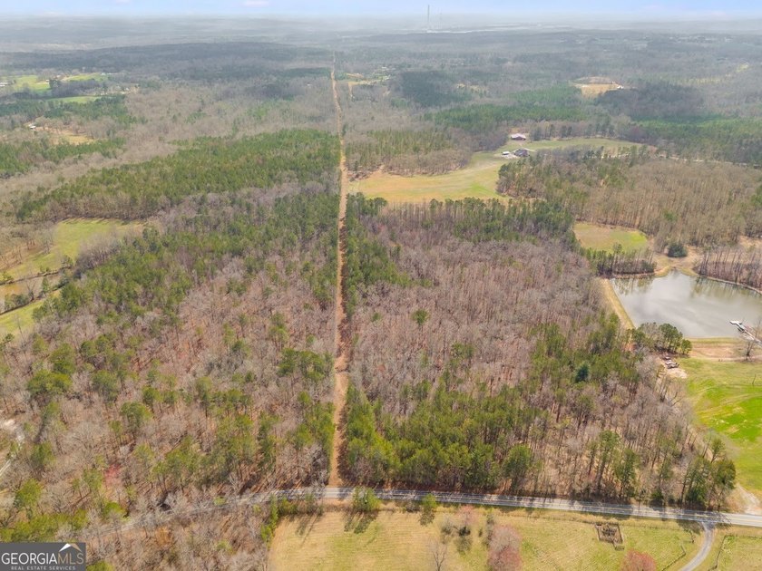 Build your dream home and have a wonderful hunting spot all in - photo 10