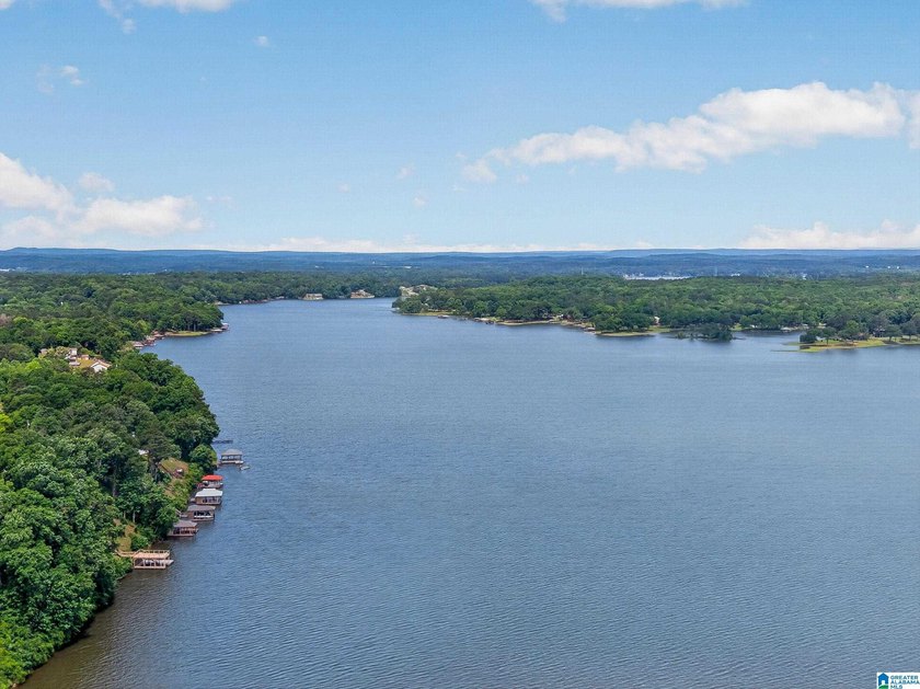 Experience refined lakefront living in this exceptional log - photo 46