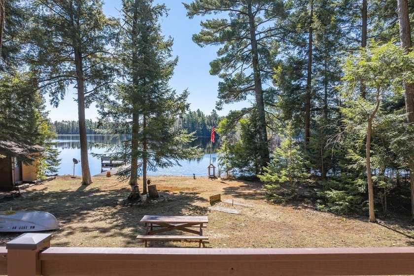 Exquisitely renovated, south-facing chalet-style lakefront - photo 5