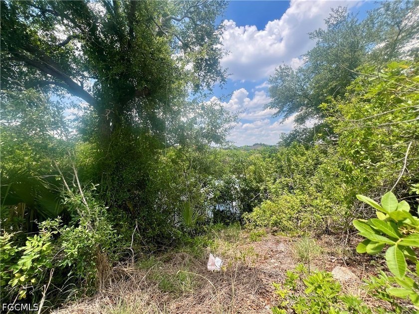 Fantastic opportunity! This lot is located in the beautiful - photo 2