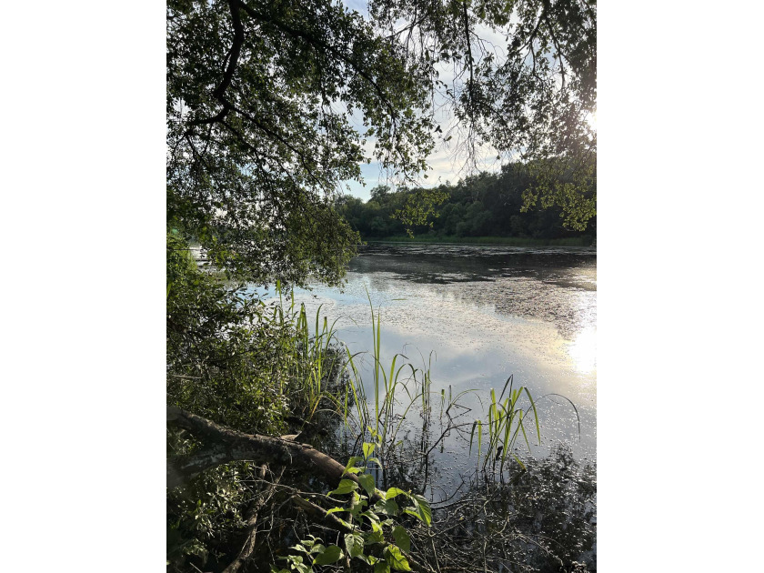 369 CR 2245, Mineola, TX 75773, 4454719