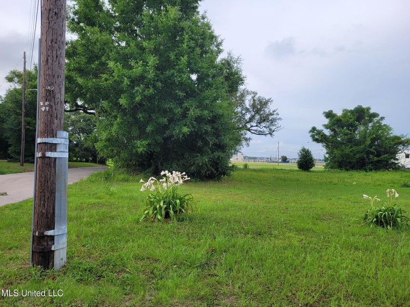 Corner Lot in a convenient location near Biloxi Back Bay - photo 5