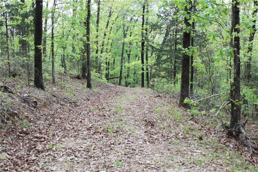 40+/- Hunting Property close to Blue Mountain Lake Situated one - photo 11