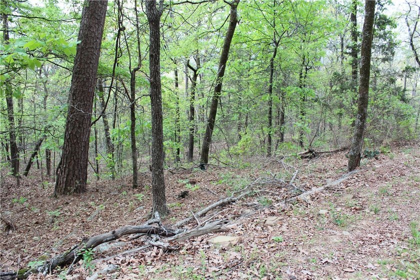 40+/- Hunting Property close to Blue Mountain Lake Situated one - photo 12