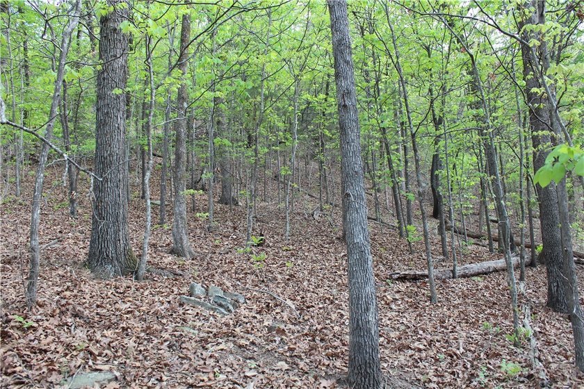 40+/- Hunting Property close to Blue Mountain Lake Situated one - photo 13