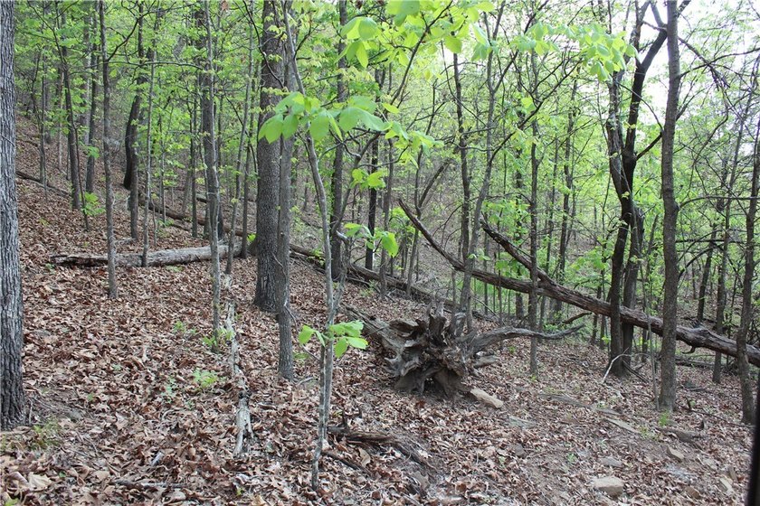 40+/- Hunting Property close to Blue Mountain Lake Situated one - photo 14