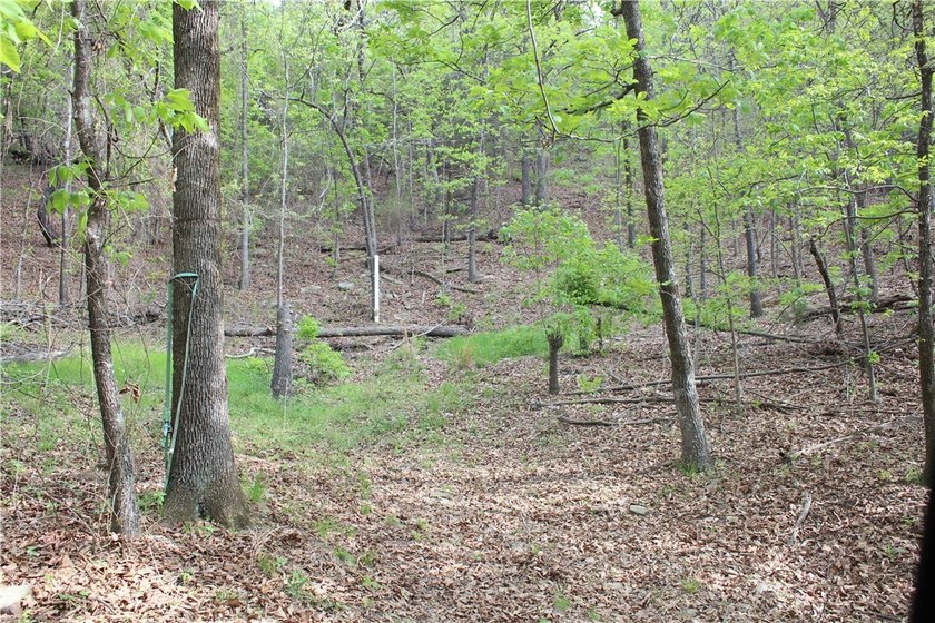 40+/- Hunting Property close to Blue Mountain Lake Situated one - photo 16