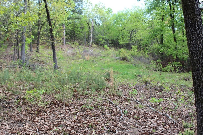 40+/- Hunting Property close to Blue Mountain Lake Situated one - photo 17