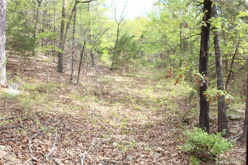 40+/- Hunting Property close to Blue Mountain Lake Situated one - photo 18