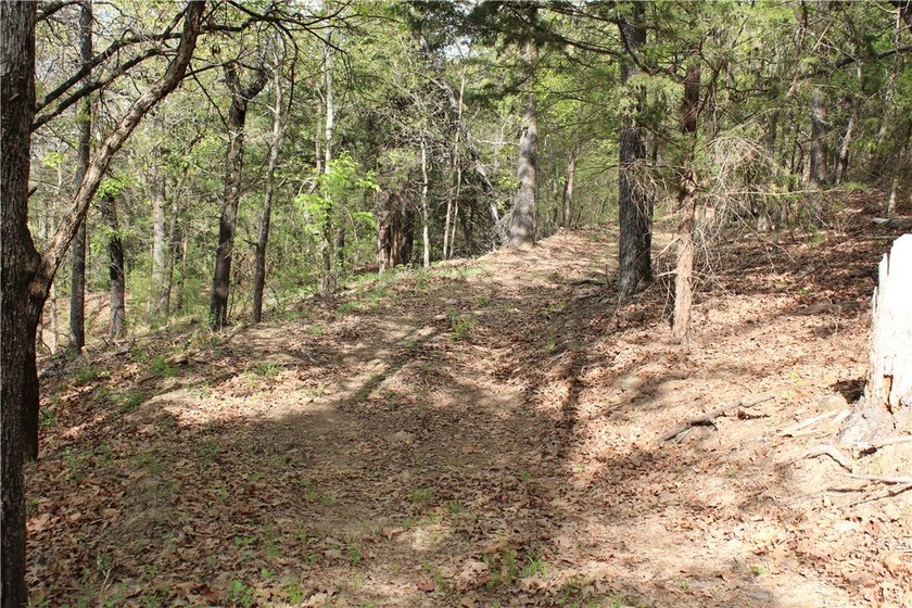 40+/- Hunting Property close to Blue Mountain Lake Situated one - photo 19