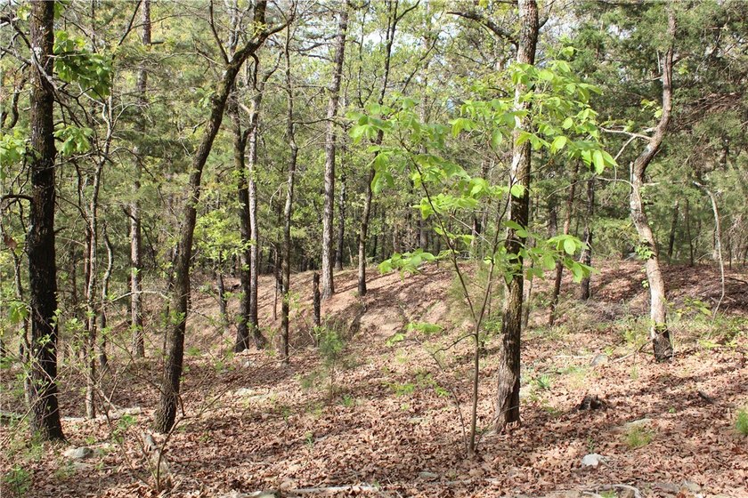 40+/- Hunting Property close to Blue Mountain Lake Situated one - photo 20