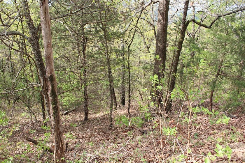40+/- Hunting Property close to Blue Mountain Lake Situated one - photo 21