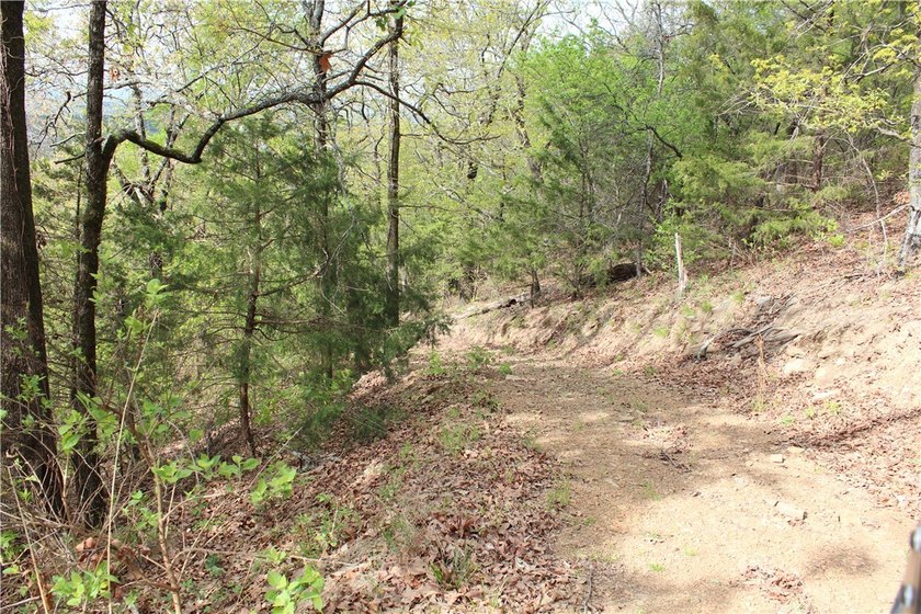 40+/- Hunting Property close to Blue Mountain Lake Situated one - photo 22