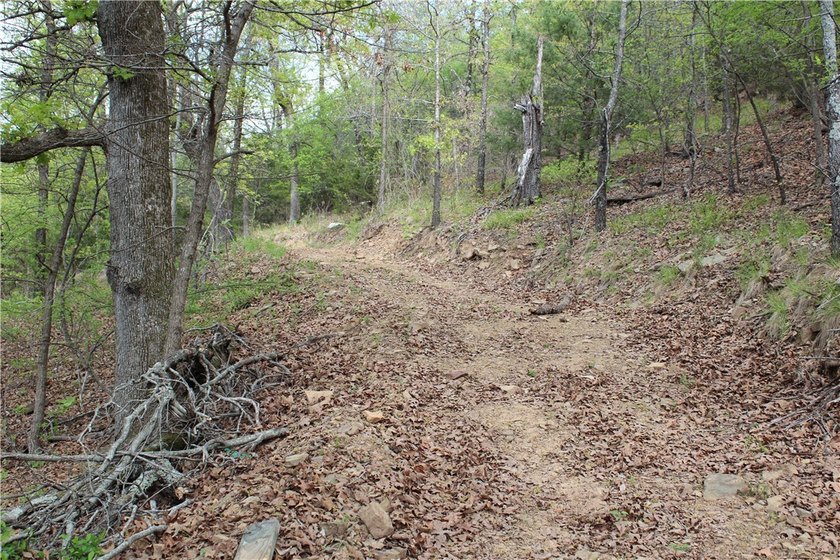 40+/- Hunting Property close to Blue Mountain Lake Situated one - photo 23