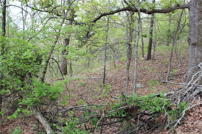 40+/- Hunting Property close to Blue Mountain Lake Situated one - photo 24