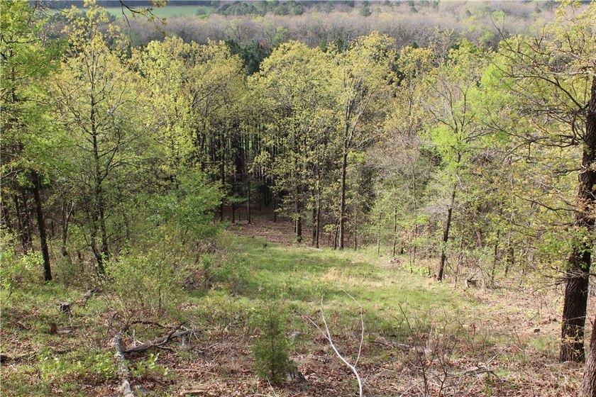 40+/- Hunting Property close to Blue Mountain Lake Situated one - photo 25