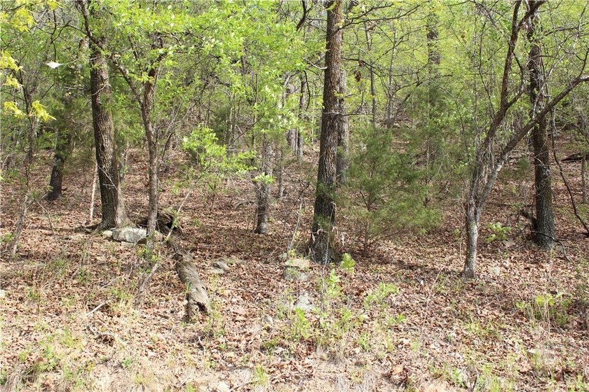 40+/- Hunting Property close to Blue Mountain Lake Situated one - photo 26