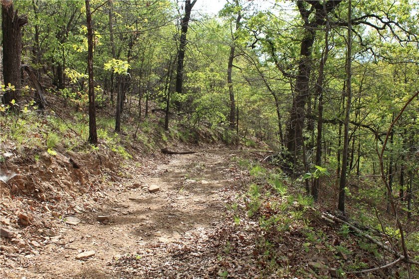 40+/- Hunting Property close to Blue Mountain Lake Situated one - photo 27
