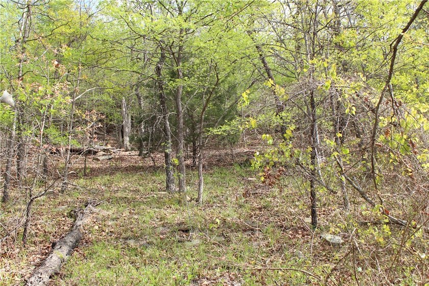 40+/- Hunting Property close to Blue Mountain Lake Situated one - photo 28