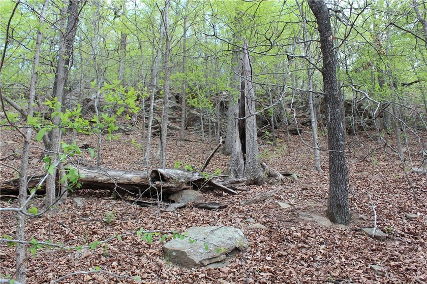40+/- Hunting Property close to Blue Mountain Lake Situated one - photo 29
