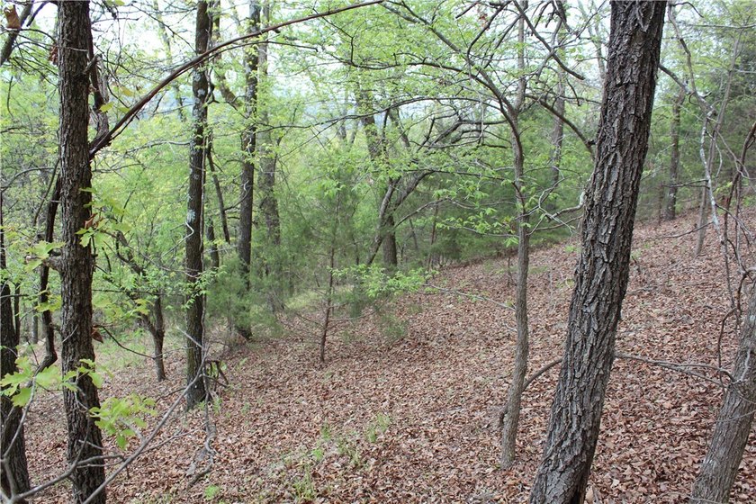40+/- Hunting Property close to Blue Mountain Lake Situated one - photo 30