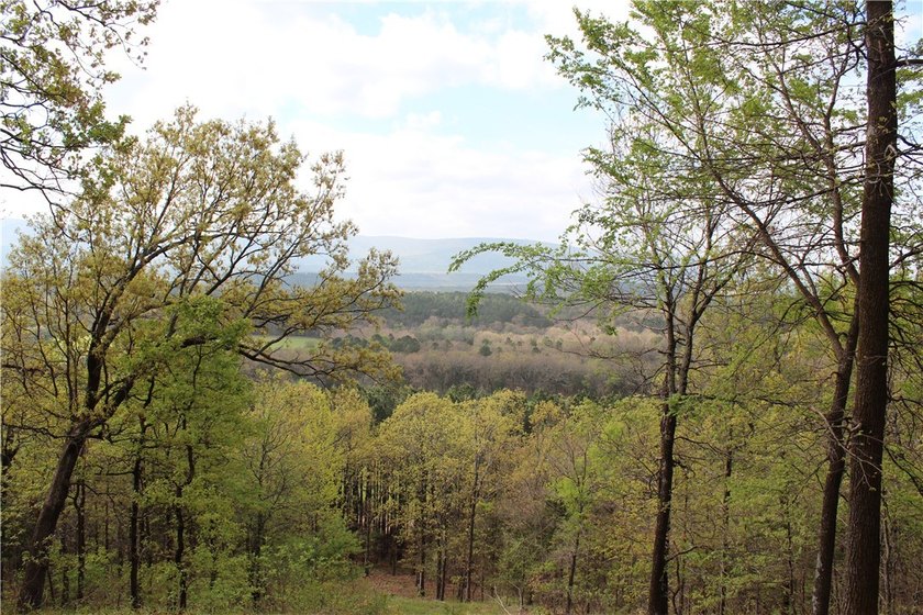 40+/- Hunting Property close to Blue Mountain Lake Situated one - photo 31