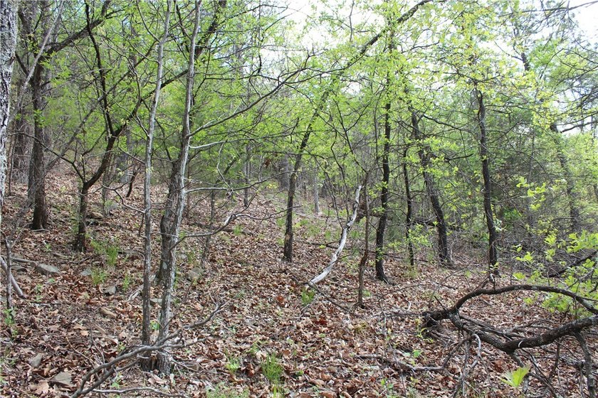 40+/- Hunting Property close to Blue Mountain Lake Situated one - photo 32