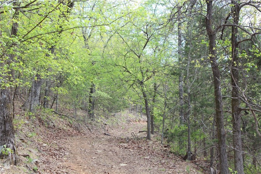 40+/- Hunting Property close to Blue Mountain Lake Situated one - photo 33