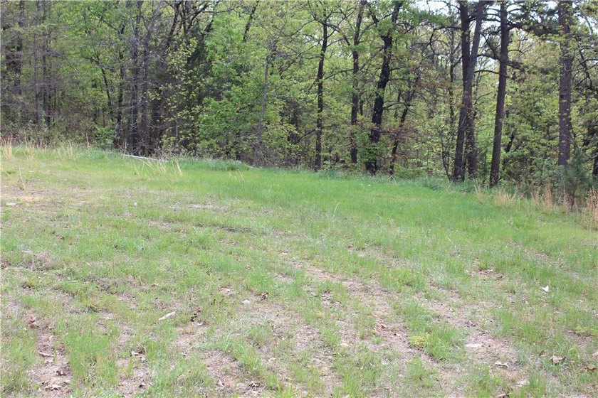 40+/- Hunting Property close to Blue Mountain Lake Situated one - photo 34