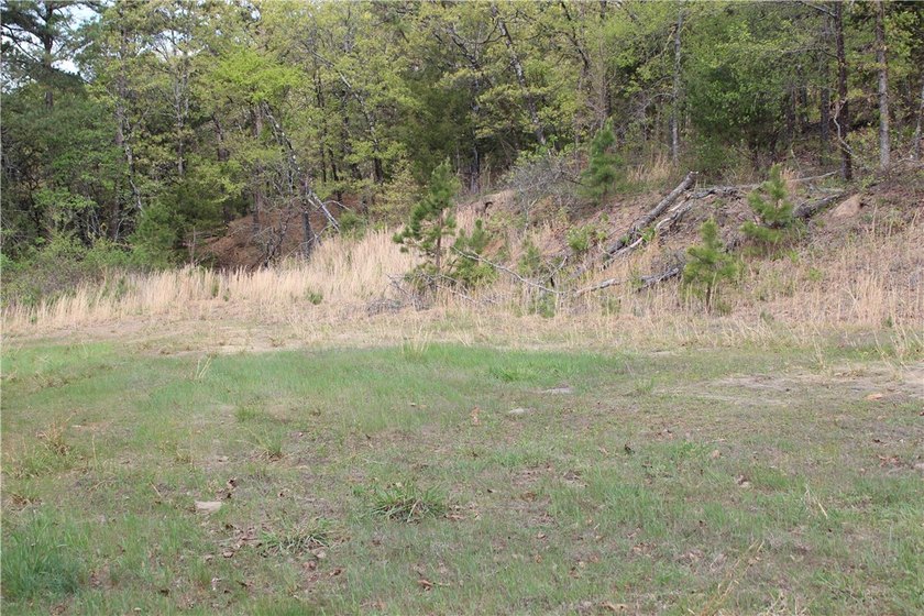 40+/- Hunting Property close to Blue Mountain Lake Situated one - photo 35