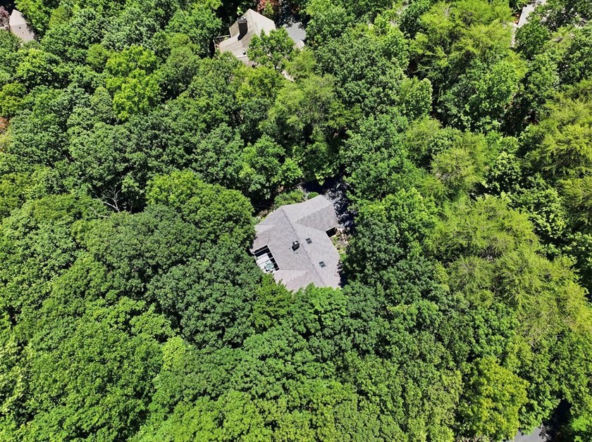 Just three minutes from Big Canoe's North Gate and located in - photo 48